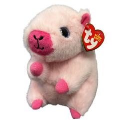 TY Beanie Babies Regular - CAPYBARA Assorted Colours