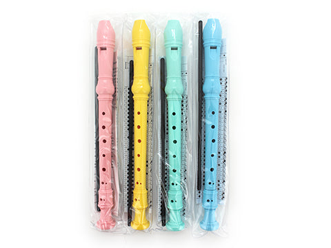 Recorder with Cleaner Assorted Colours