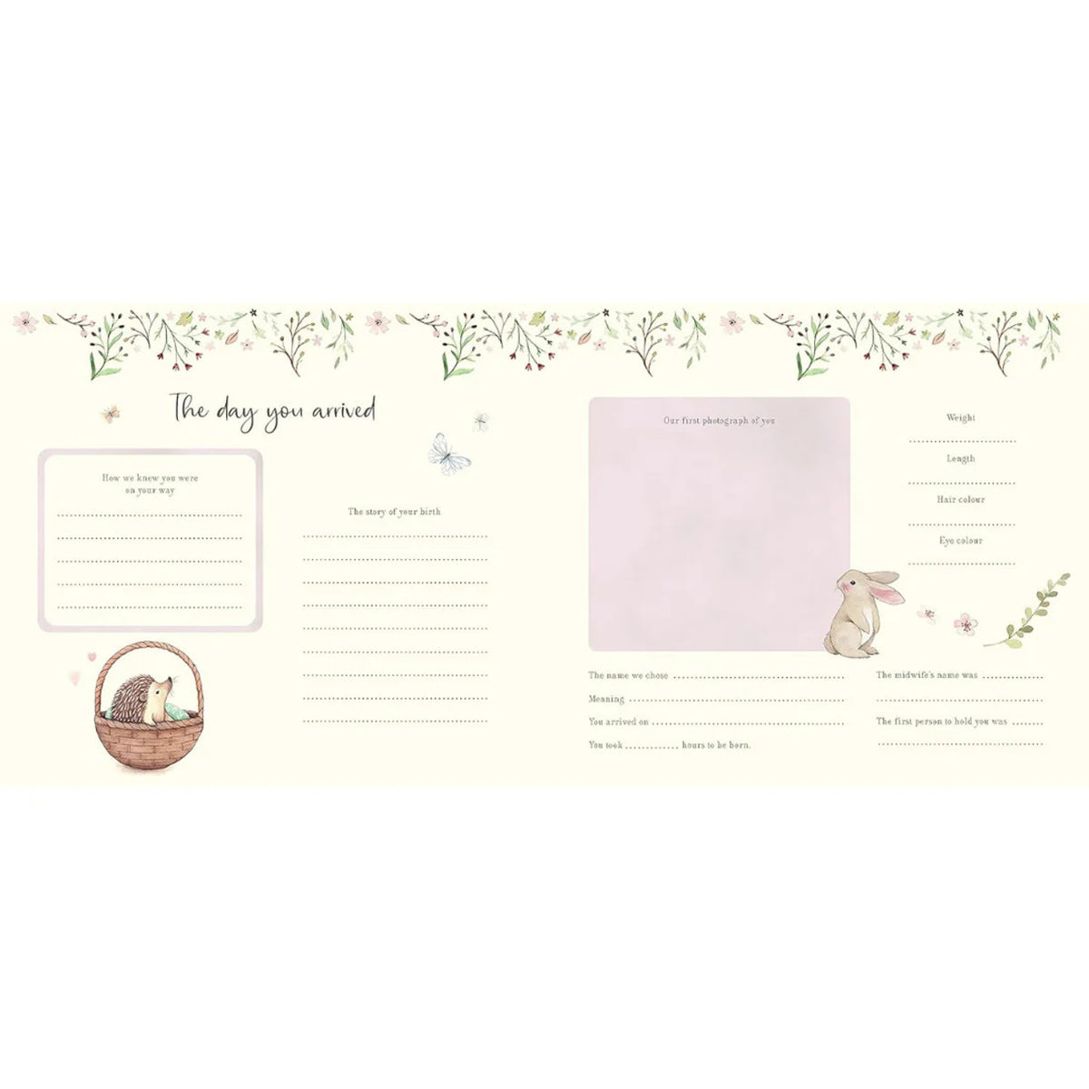 Nina Sajner Baby&#39;s First Year Record Book