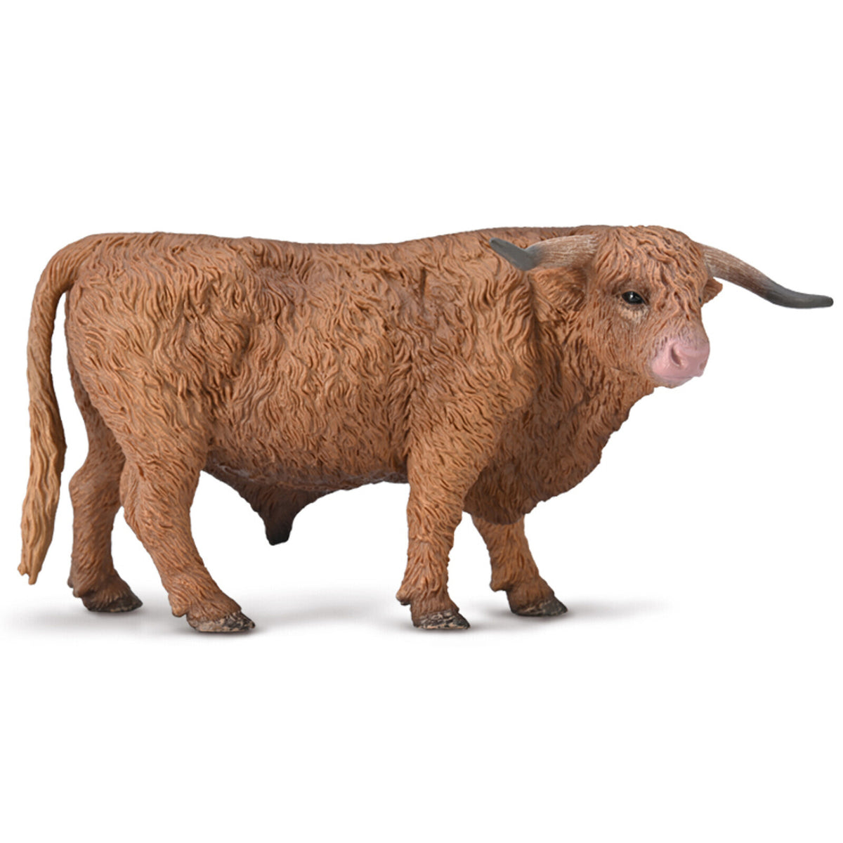 Co80011 Highland Bull