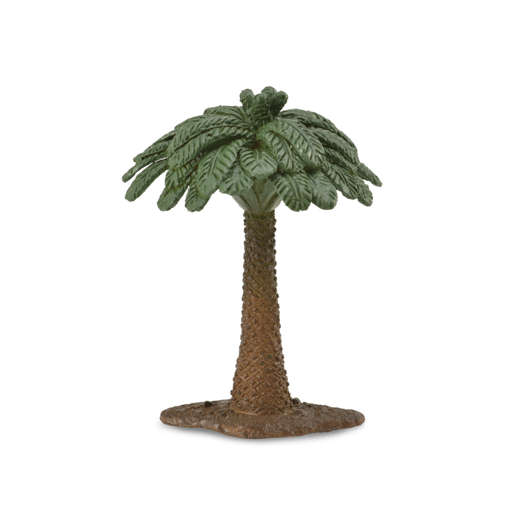 Co89A1214 Mini 2inch Tree Cycad 6pcs