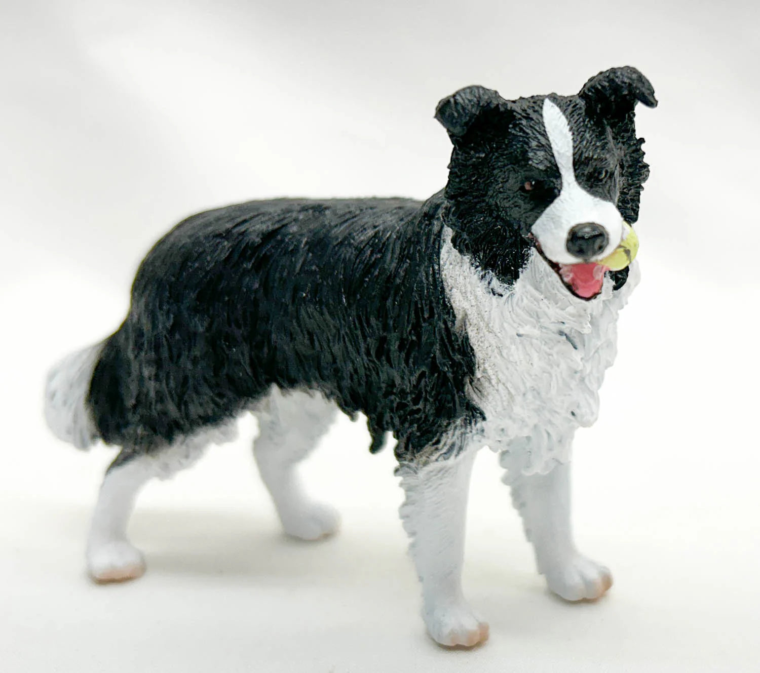 Co80012 Border Collie with Tennis Ball