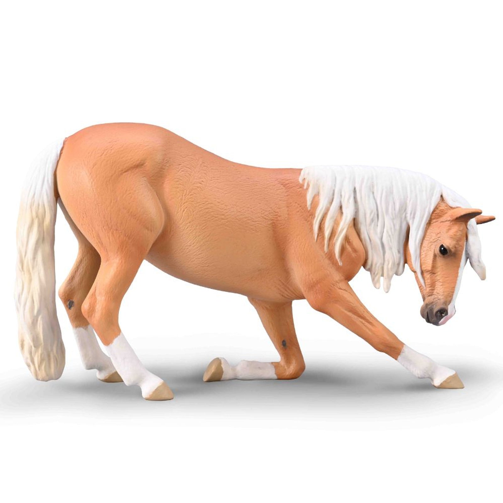 Co80042 Bowing Lusitano Mare Palomino