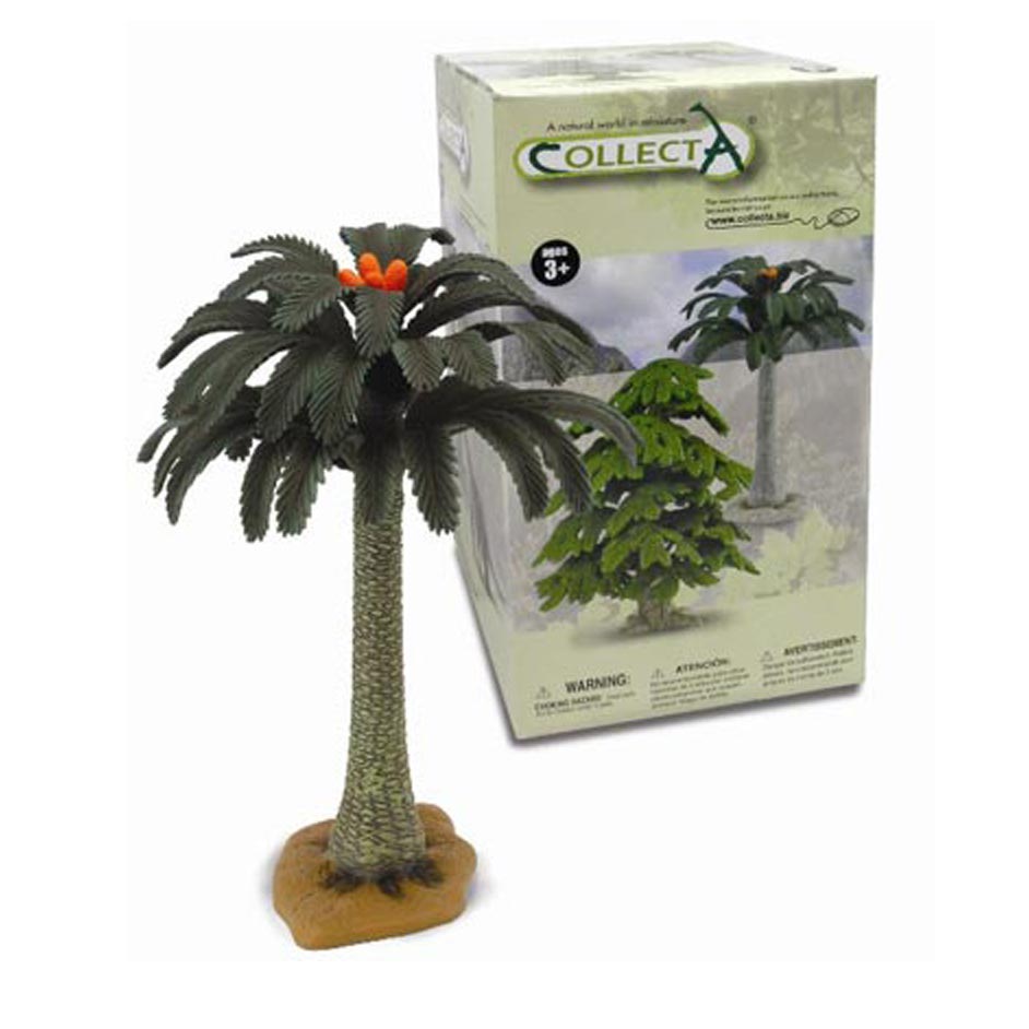Co89332 Tree Cycad 12Inch