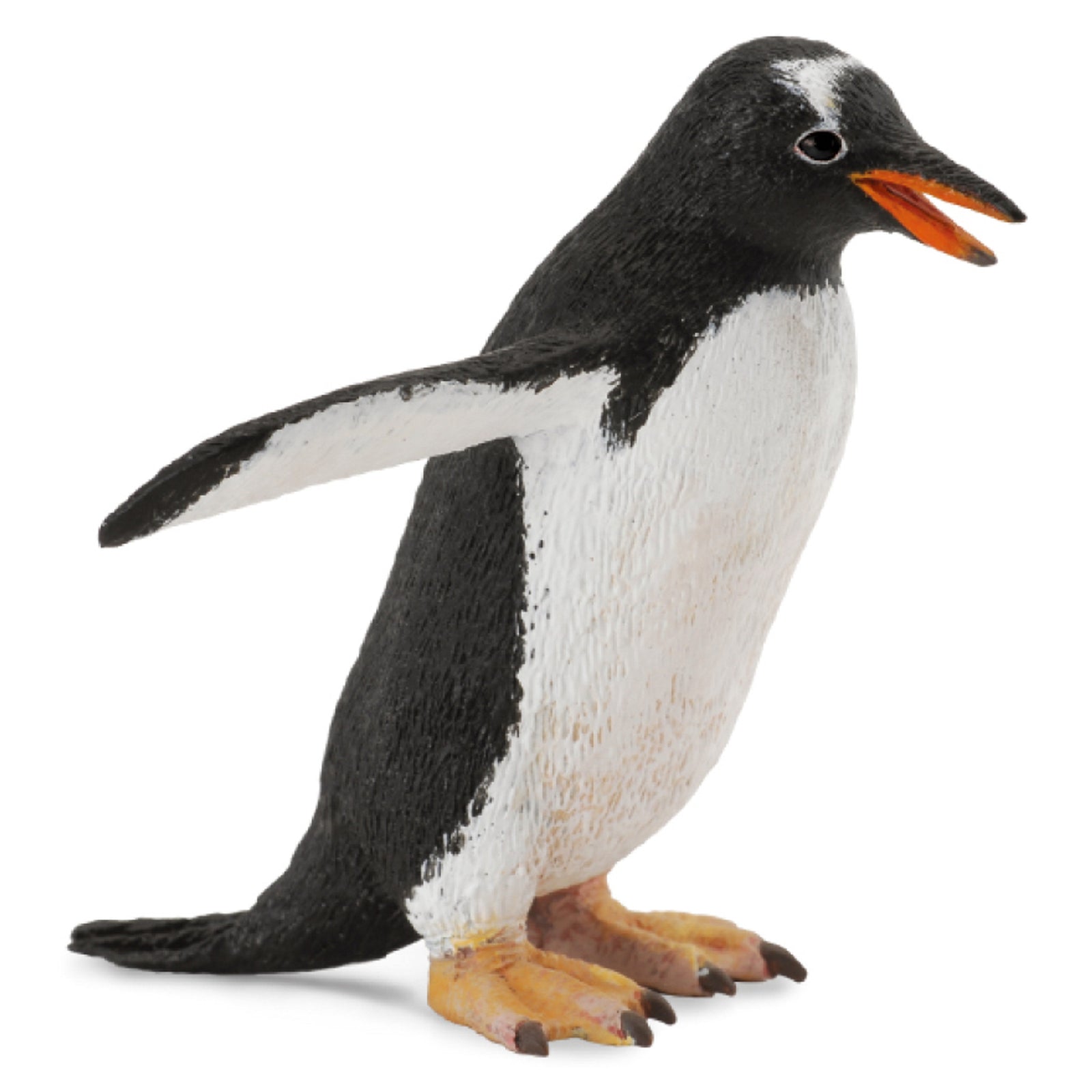 Co88589 Gentoo Penguin