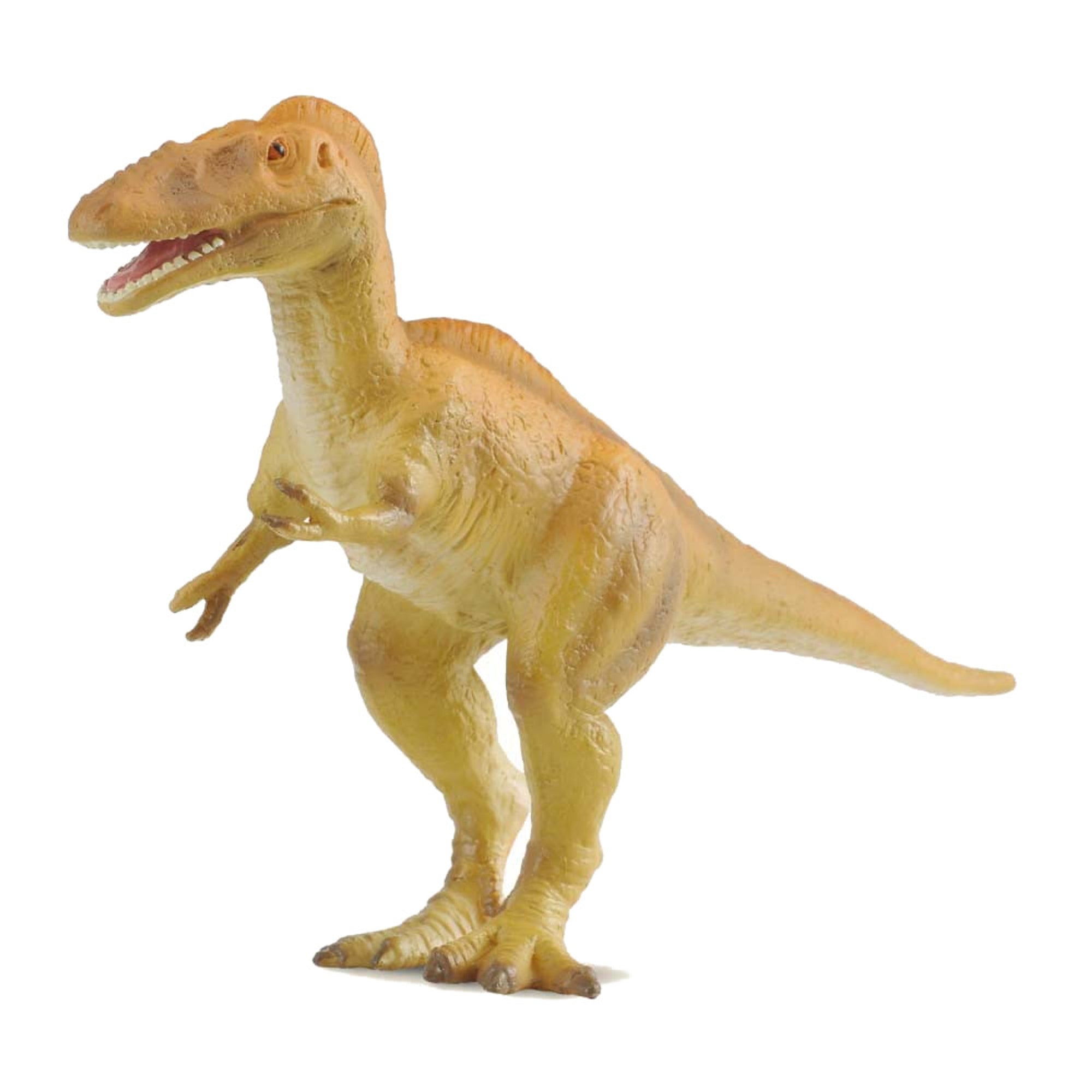 Co88254 Alioramus