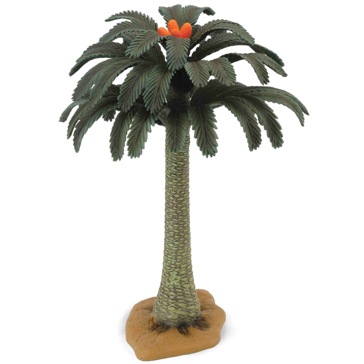 Co89332 Tree Cycad 12Inch