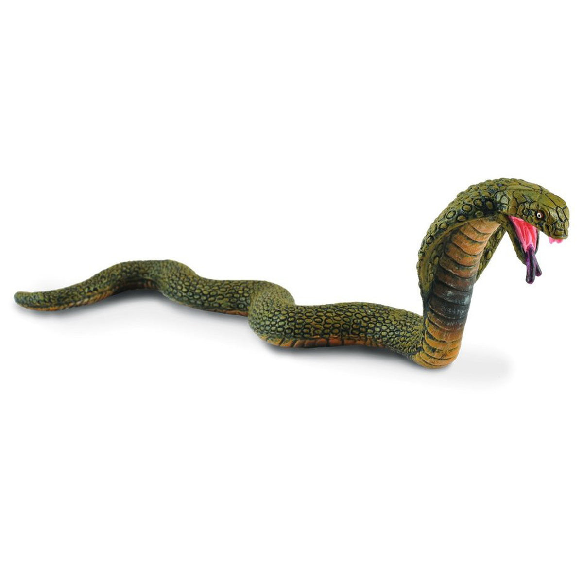 Co88230 King Cobra Snake