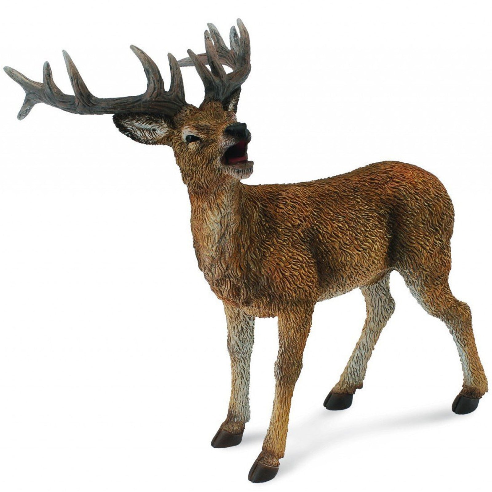Co88469 Red Deer Stag