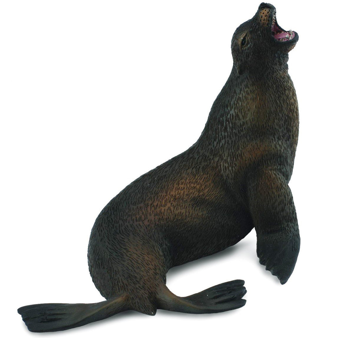 Co88454 Sea Lion