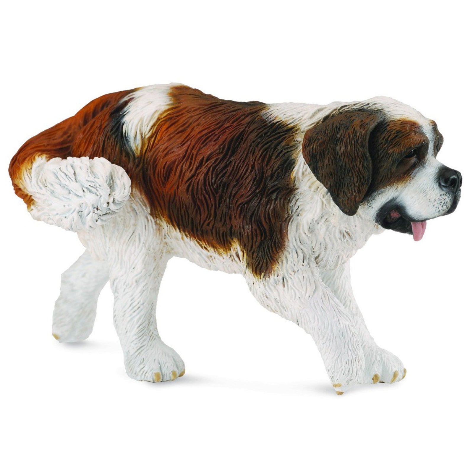 CO88506 St Bernard (L)