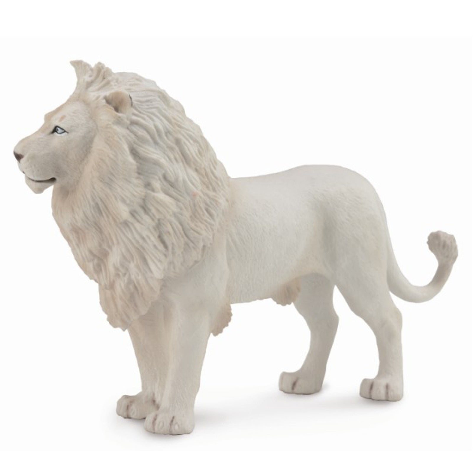 C088785 White Lion (L)