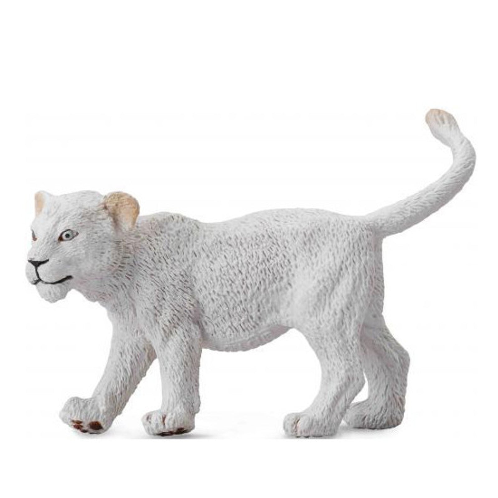 Co88551 White Lion Cub Walking