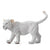Co88551 White Lion Cub Walking