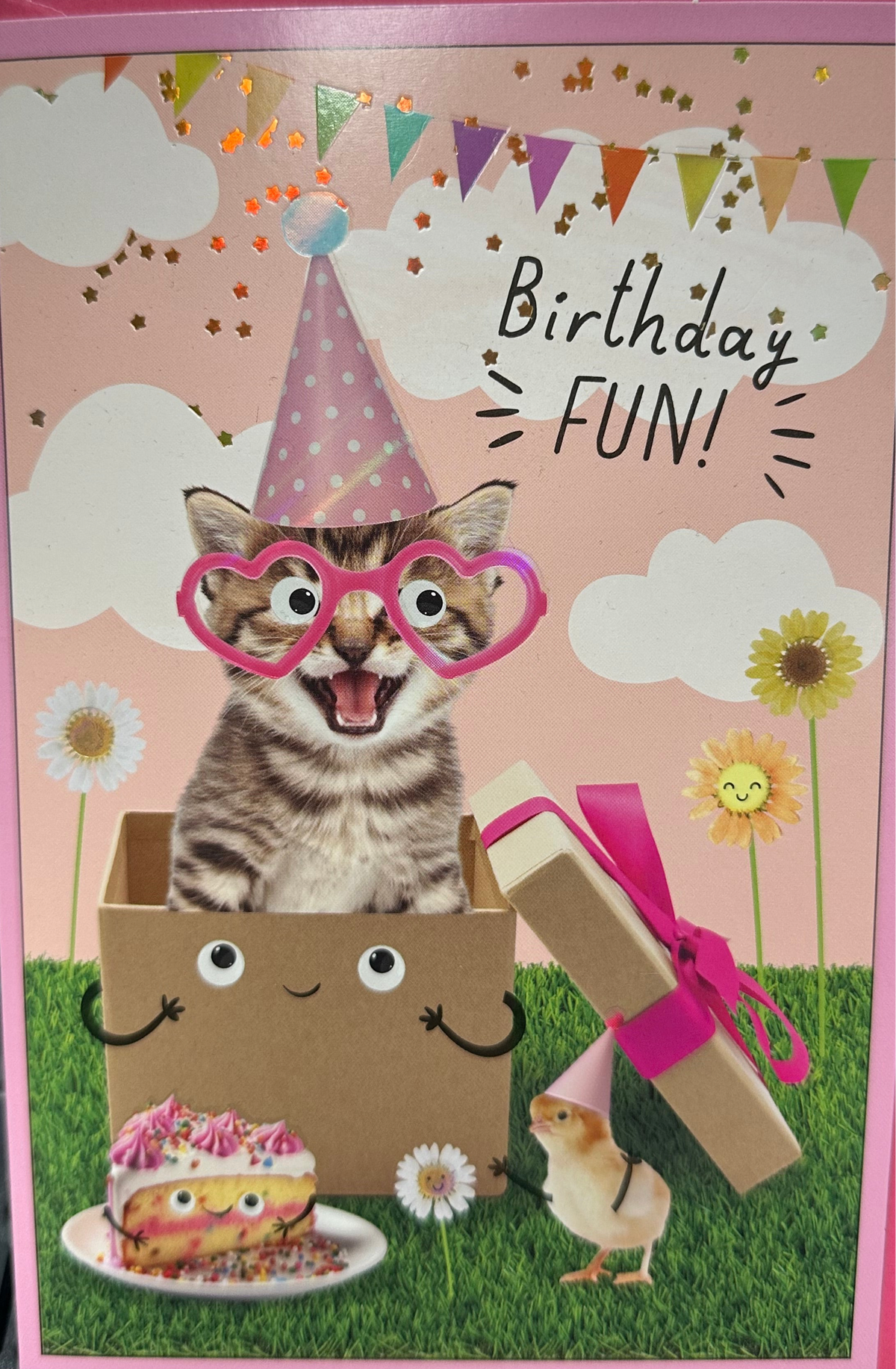Birthday Card Cat In Box Birthday Fun