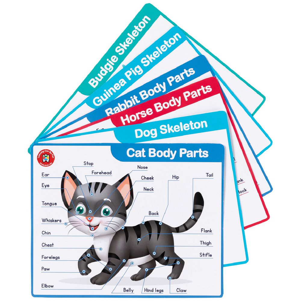 My Vet Clinic 37pc Pretend Play Set