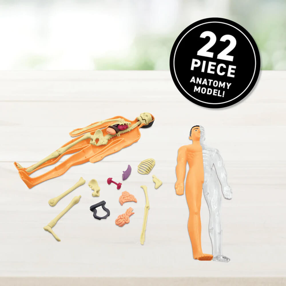 Virtual Reality Gift Box Human Body