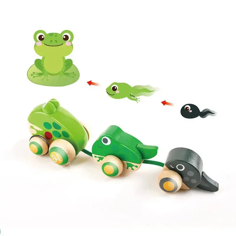 Hape Pull Along Frog Family