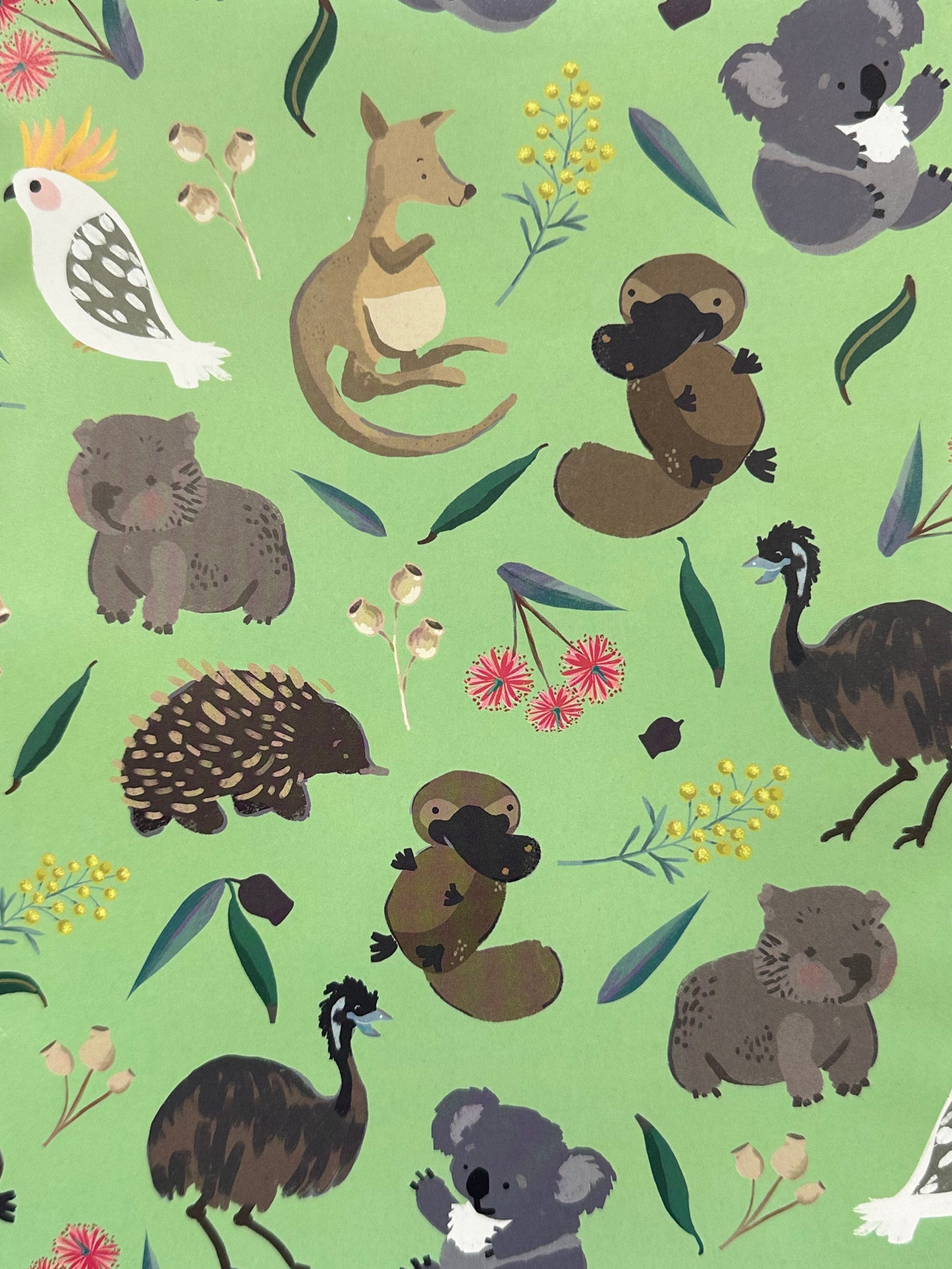 Wrap Folded Australian Animals