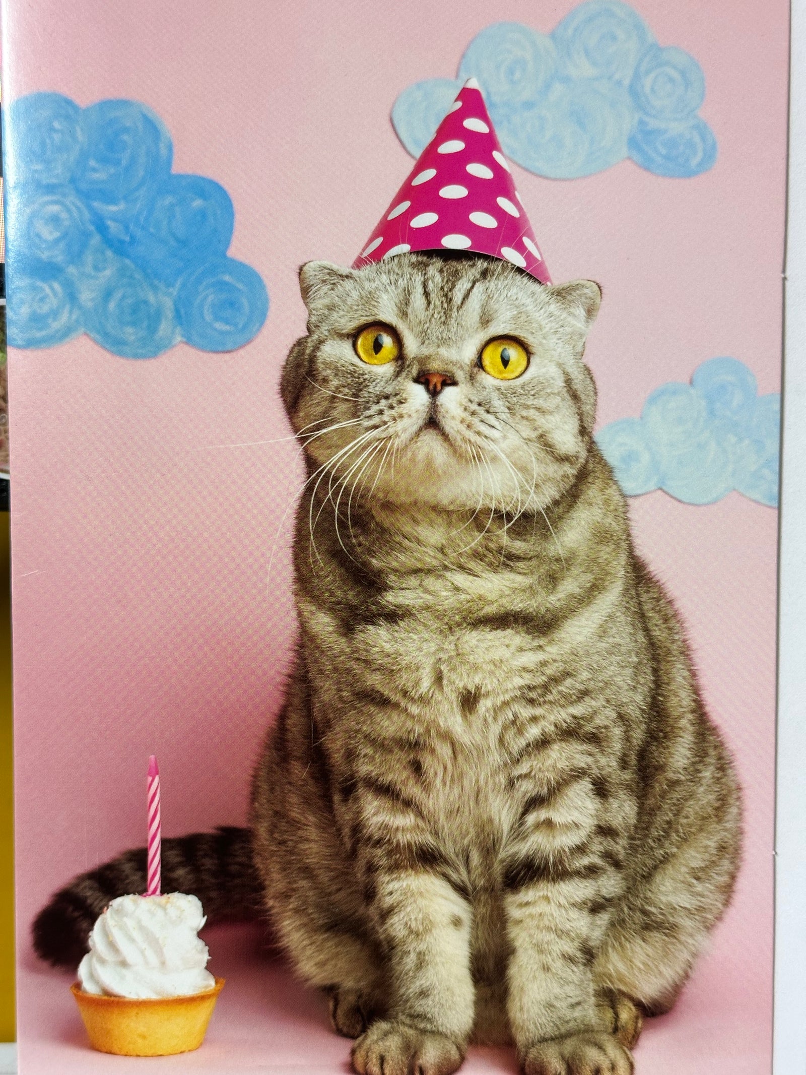 Card Snapshotz Cat in Party Hat