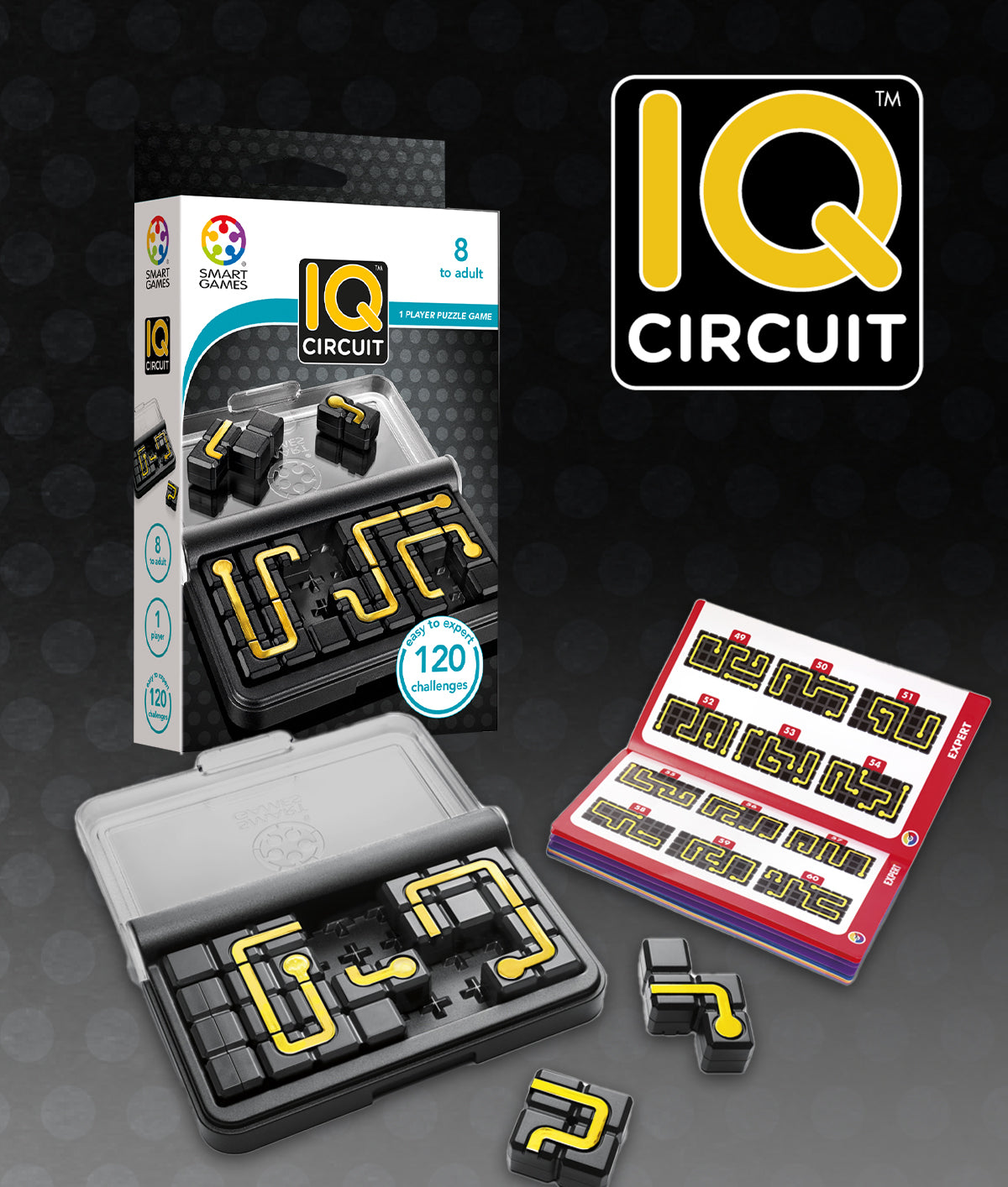 Smart Brain IQ CIRCUIT 1 Player Puzzle Game