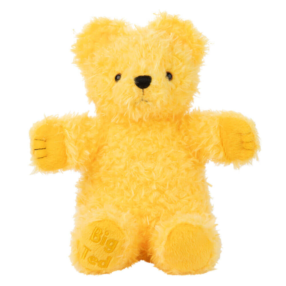 Plat School Big Ted Plush - 23cm