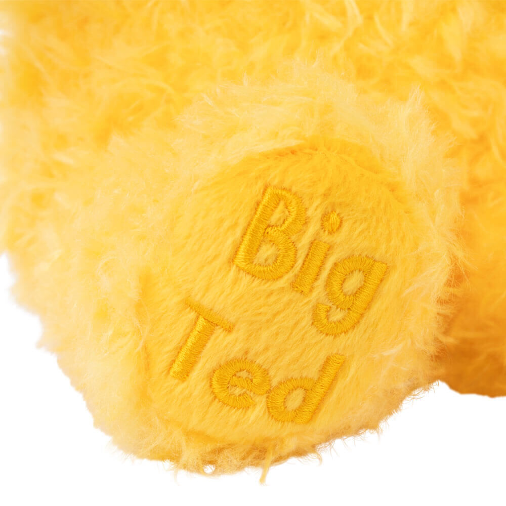 Plat School Big Ted Plush - 23cm