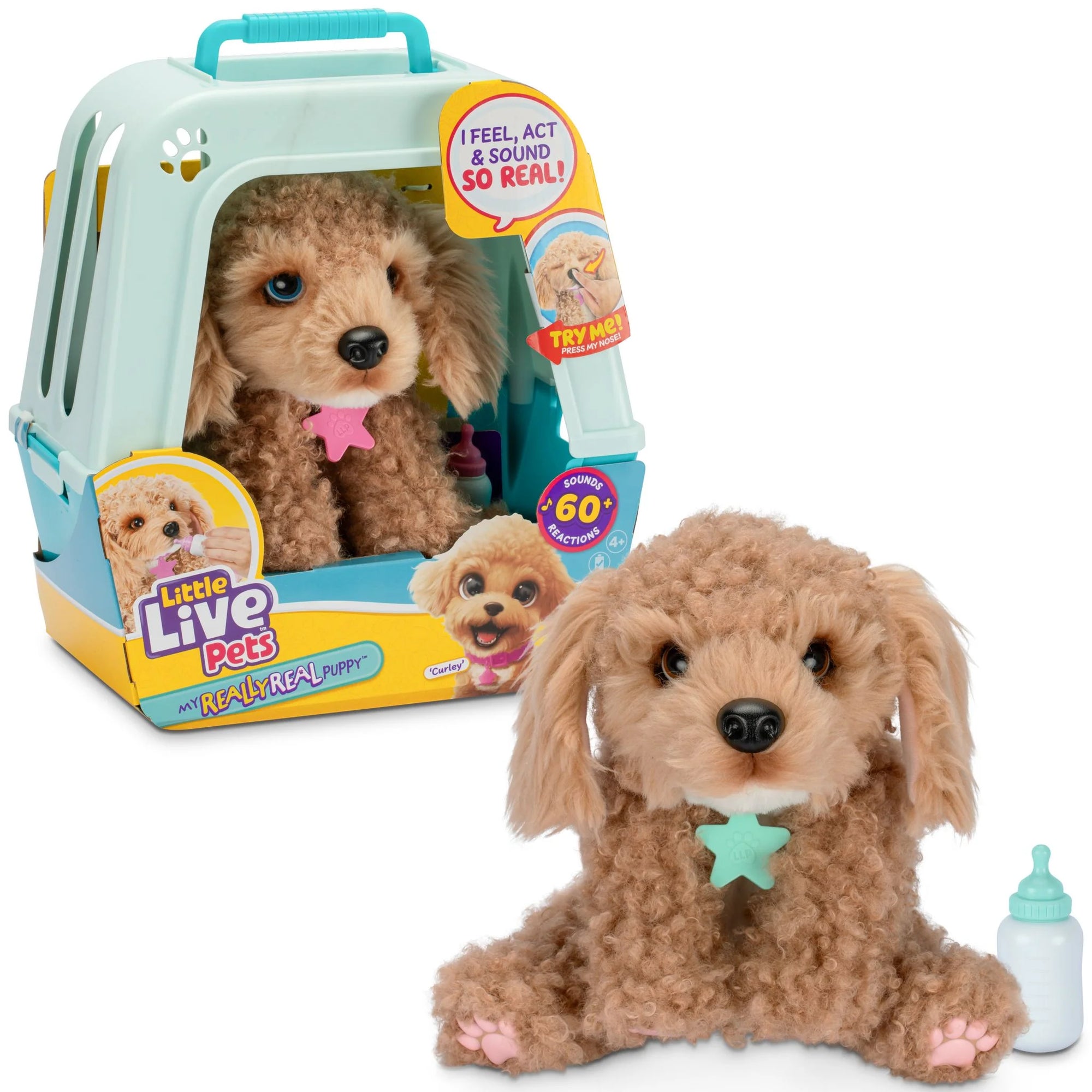 Little Live Pets My Real Puppy Curley the Cavoodle