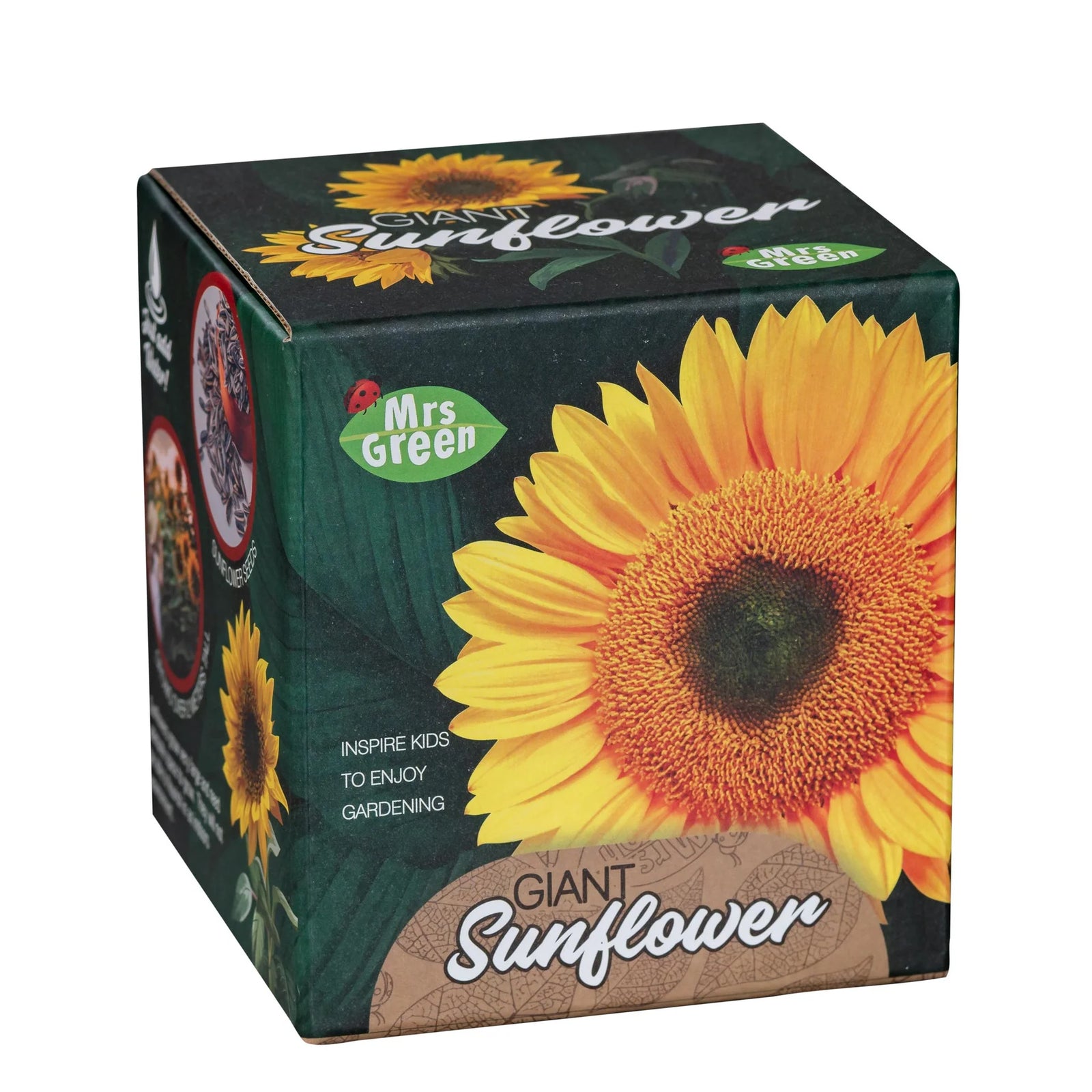 Mrs Green Giant Sunflower