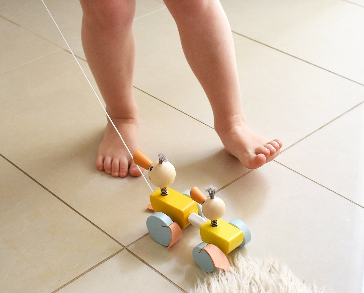 Wooden Pull Along Ducks