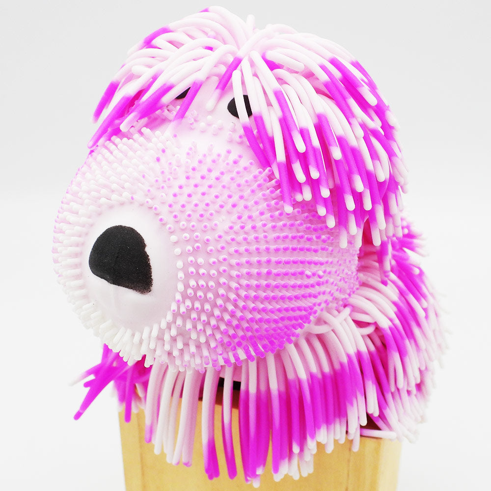 Two Colour Noodle Dog Assorted 15cm