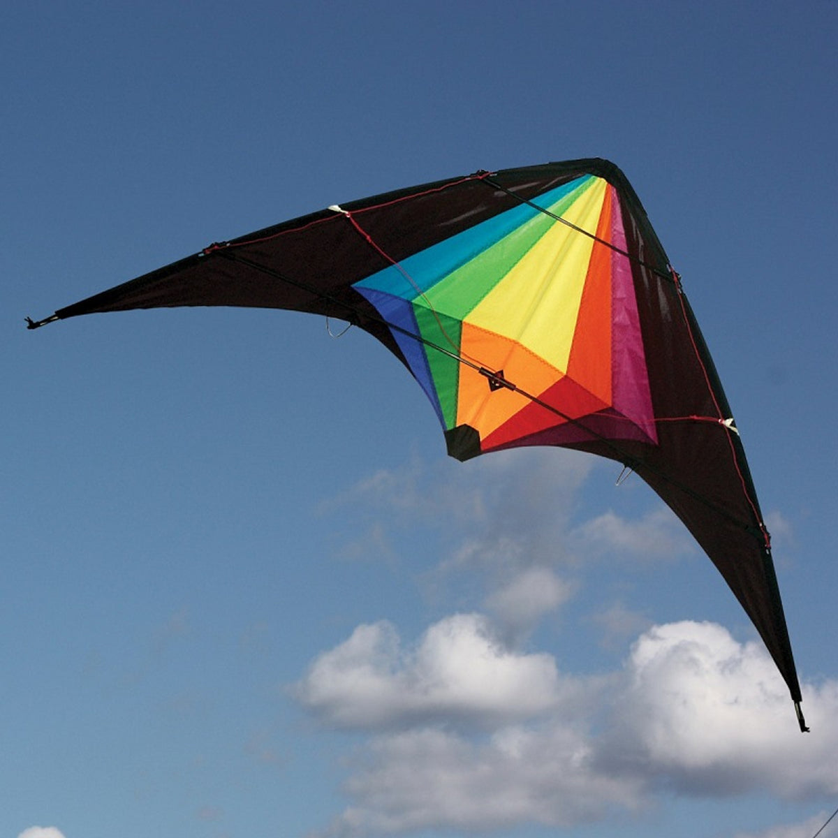Ocean Breeze Black Widow Dual Control Stunt Kite