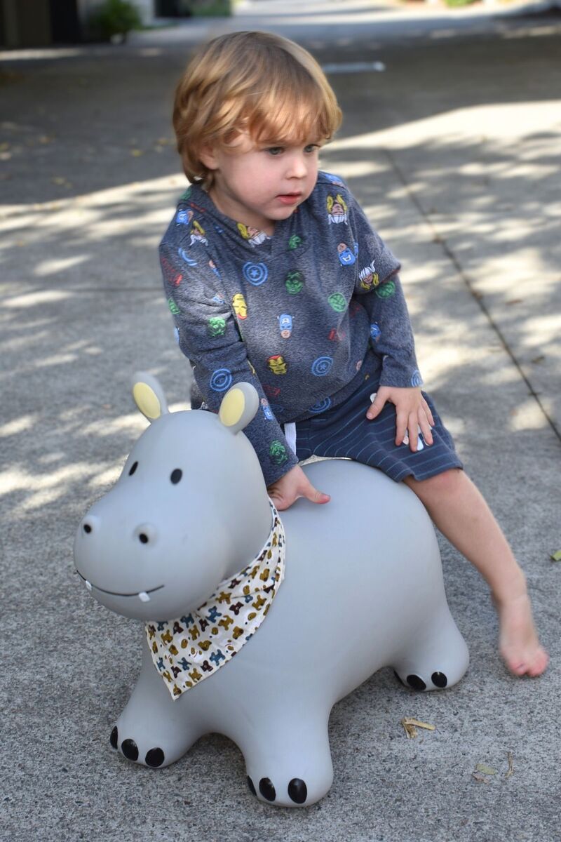 Kaper Kidz Bouncy Rider Pebbles the Grey Hippo