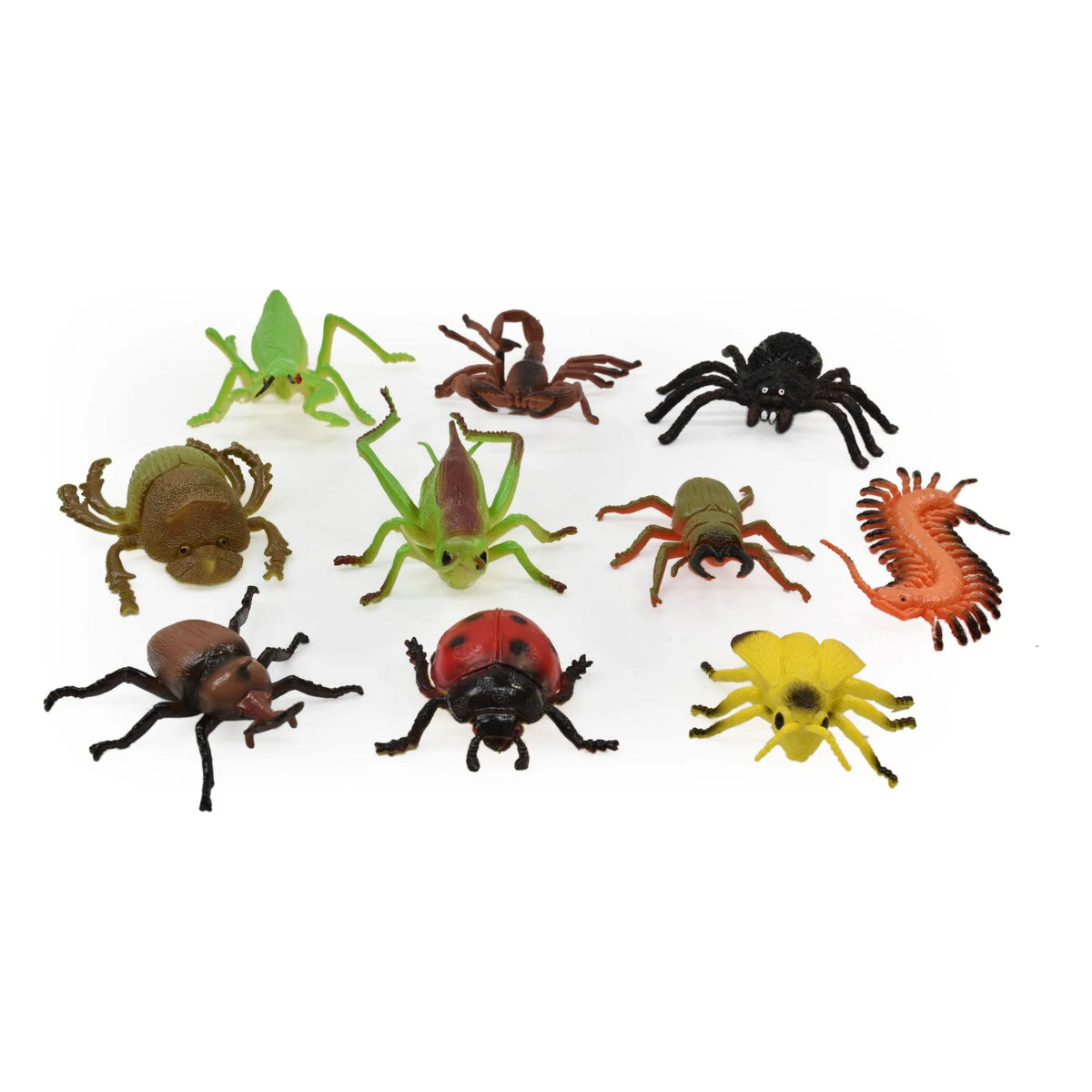 Peterkin Classics Insect World 10pc Set