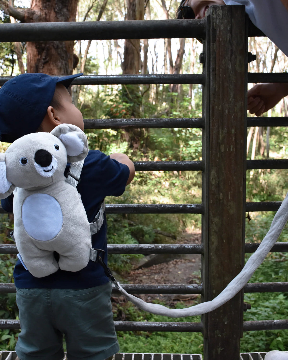 Playette Harness Buddy Koala