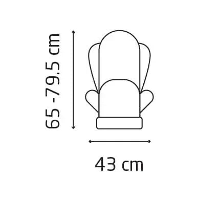 Maxi Cosi Pria LX Convertible Car Seat Onyx