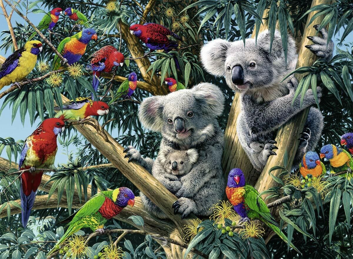 RB00206-2 Koalas in a Tree 500pc Puzzle