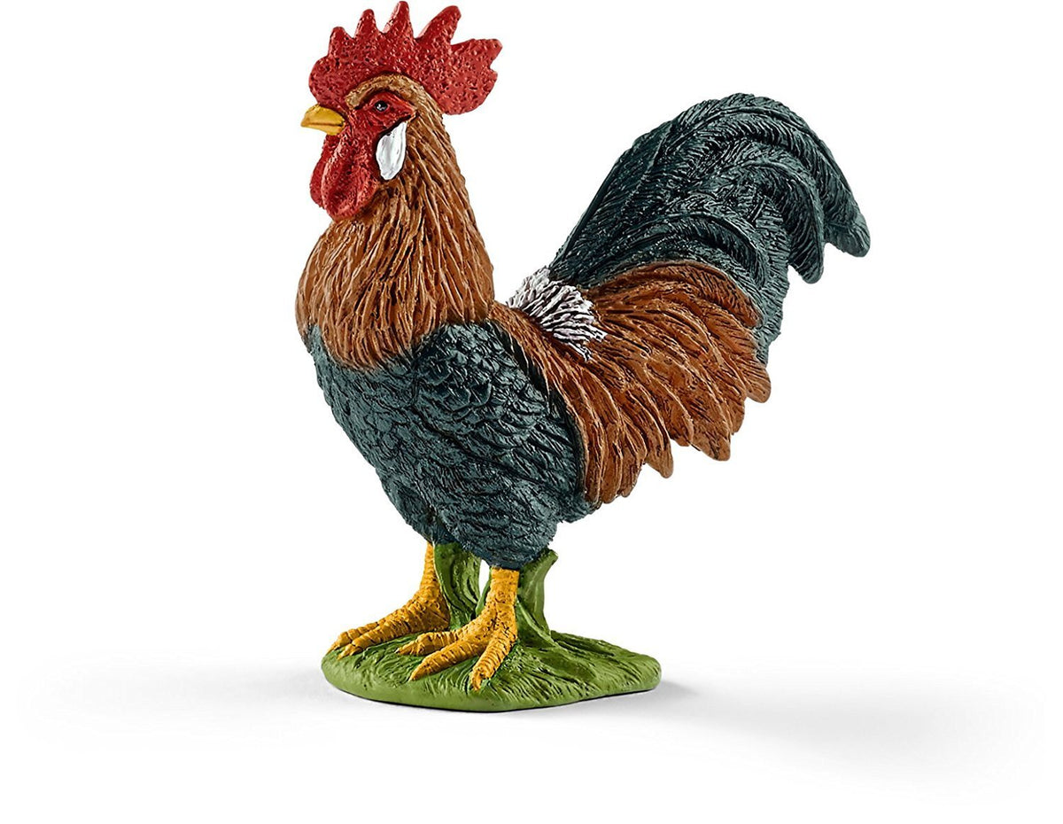 SC13825 Rooster