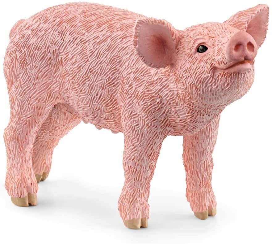 SC13934 Piglet