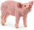SC13934 Piglet