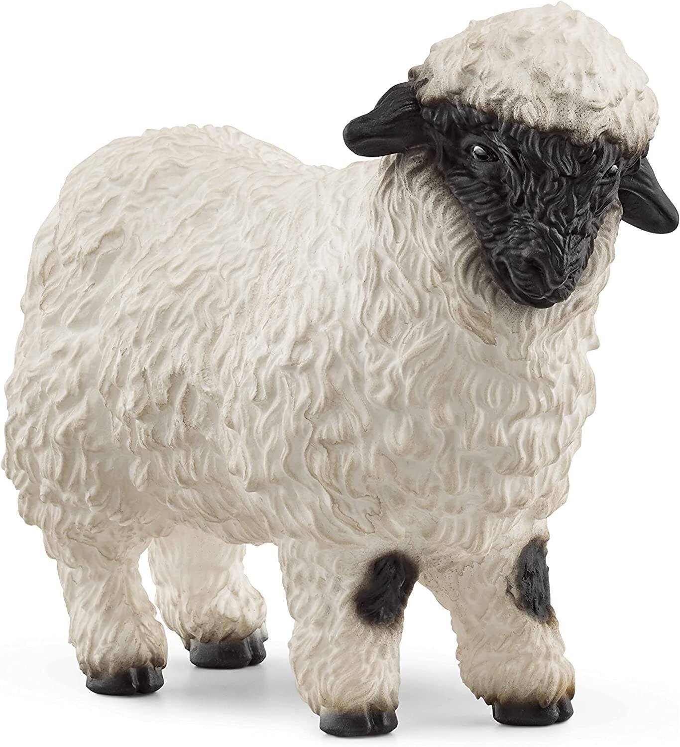 SC13965 Valais Black nose Sheep