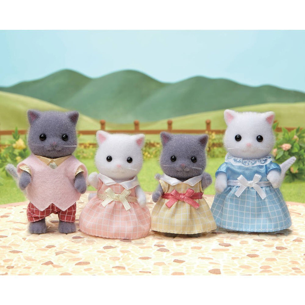 SF5455 Persian Cat Family