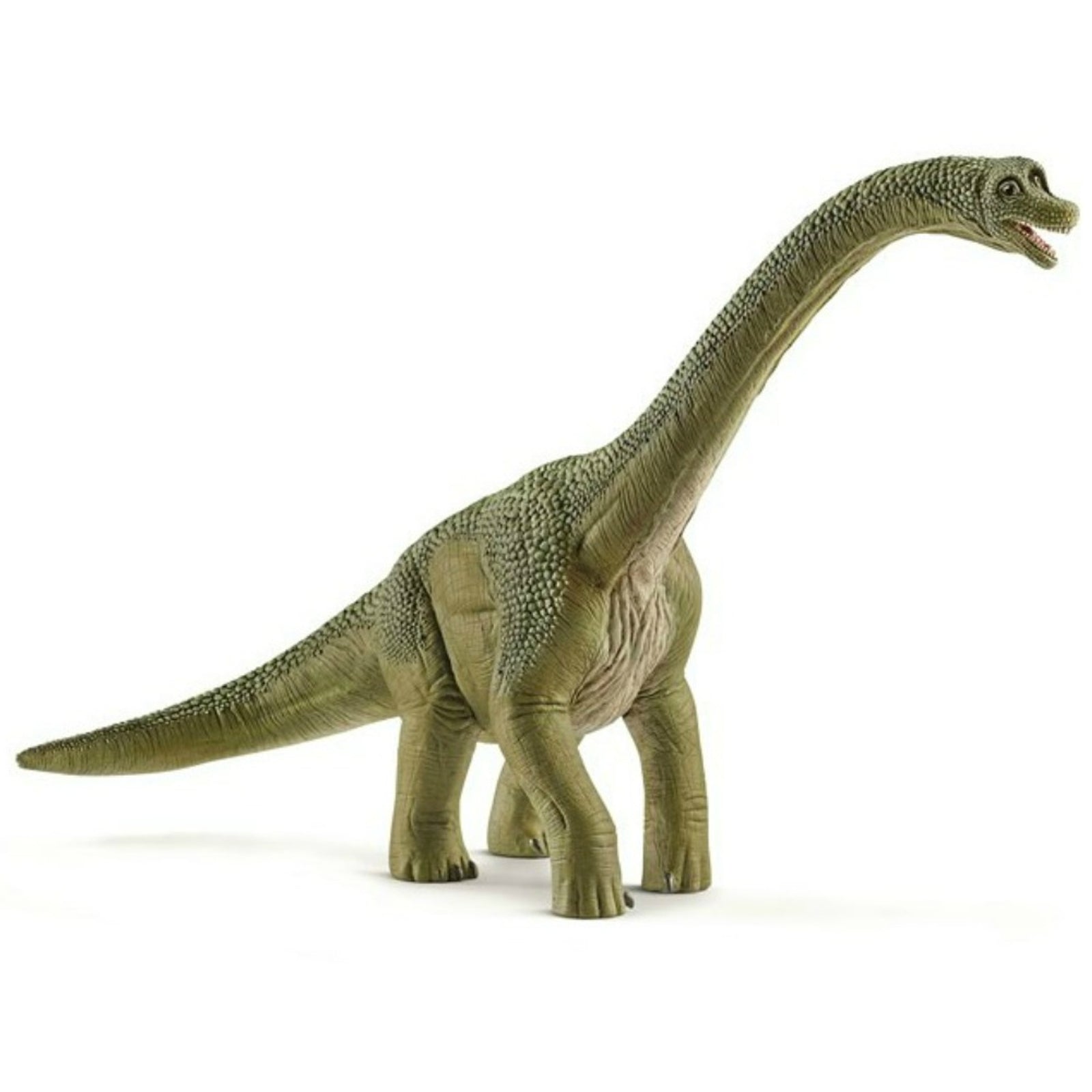 SC14581 Brachiosaurus