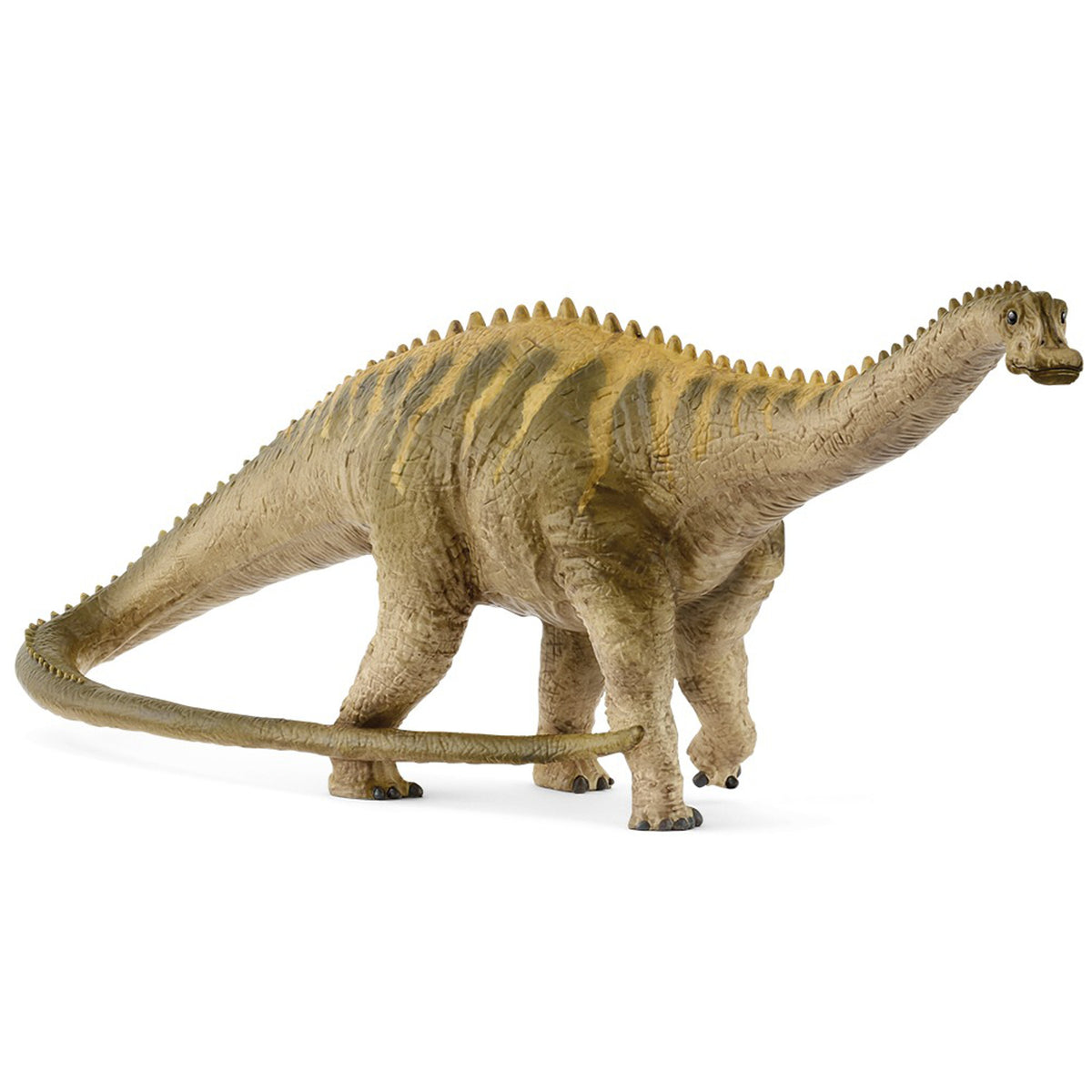 SC15047 Diplodocus