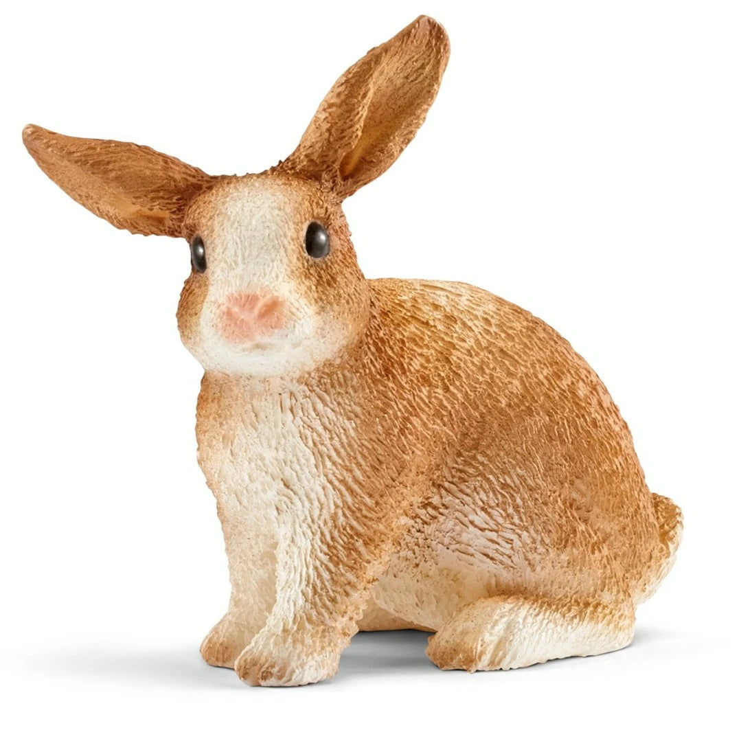 SC13827 Rabbit
