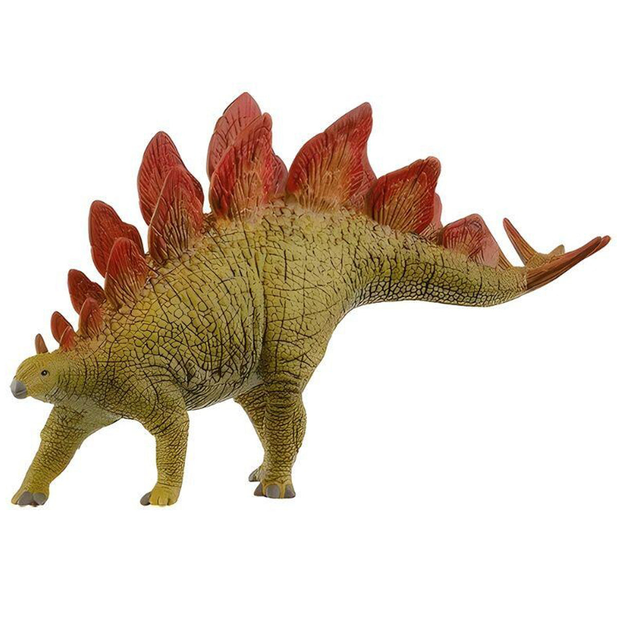 SC15040 Stegosaurus