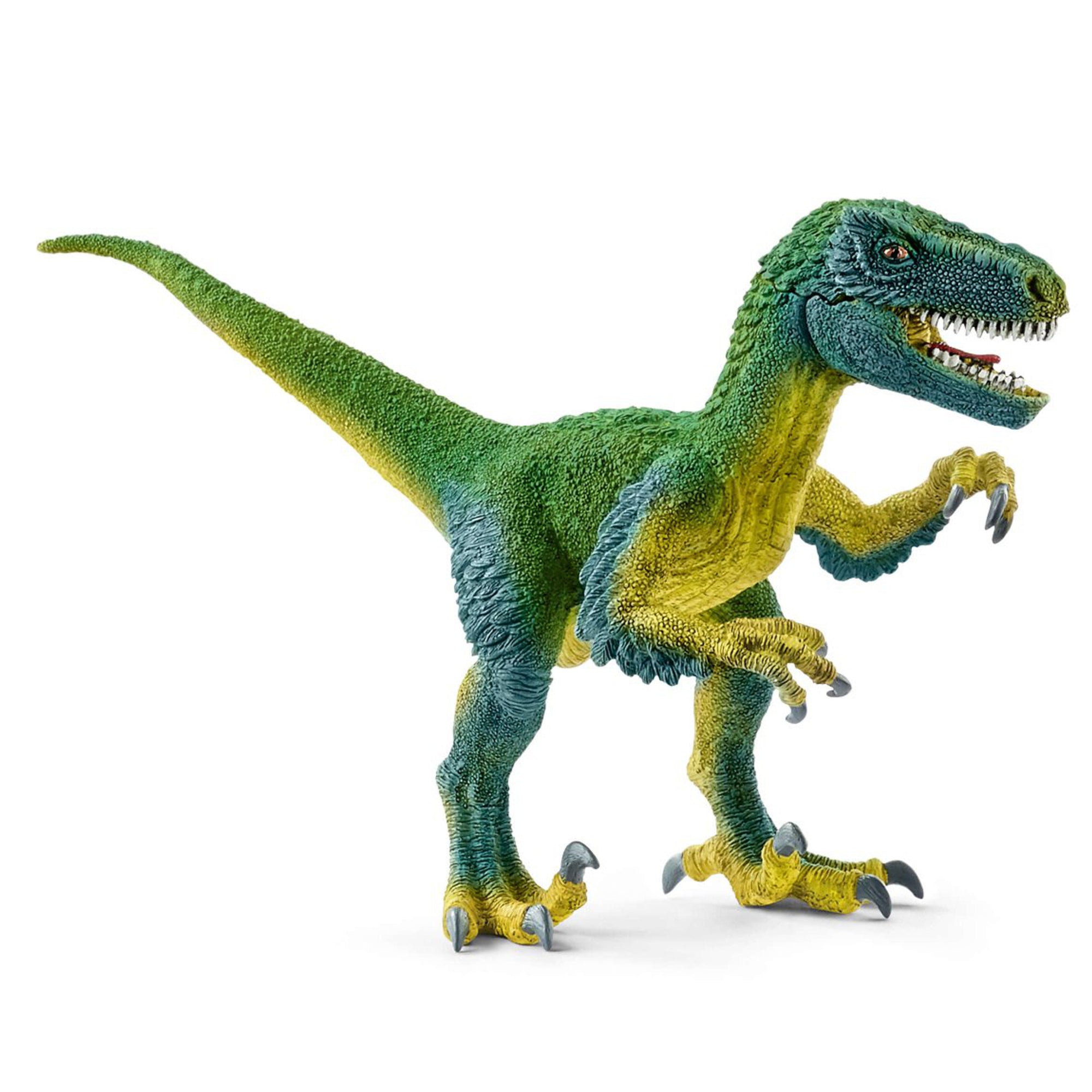SC14585 Velociraptor