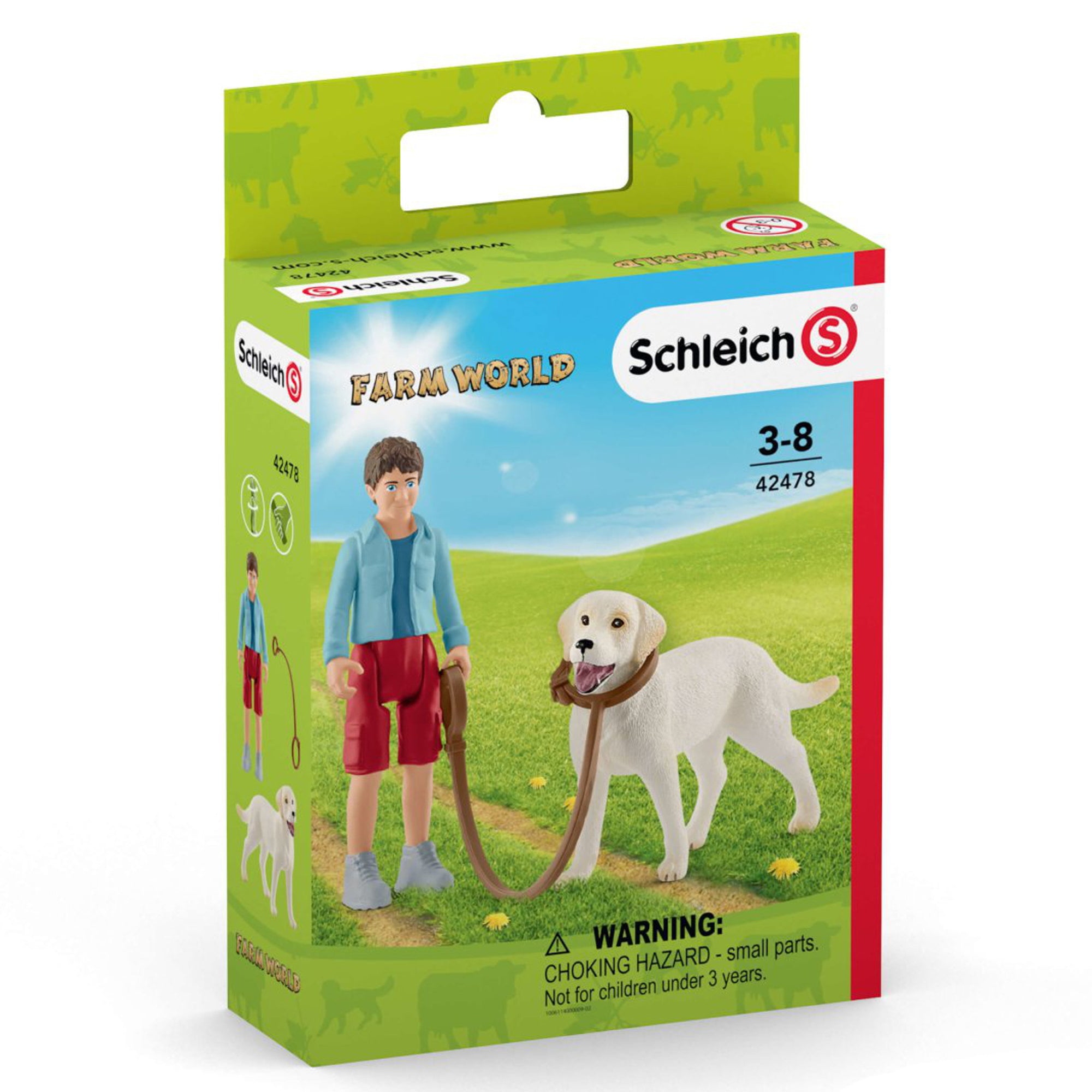 SC42478 Walking With Labrador Retriever