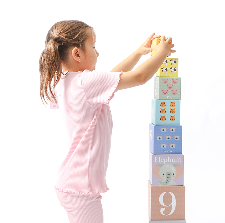 Kids By Splosh Cardboard Stacking and Nesting Blocks