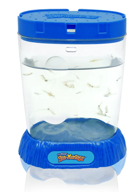 Sea Monkeys Ocean Zoo Asst Colours